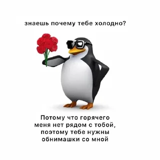 🌟 emoji пингвин @lightnine Telegram sticker 24 of 59