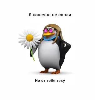 🌟 emoji пингвин @lightnine Telegram sticker 15 of 59