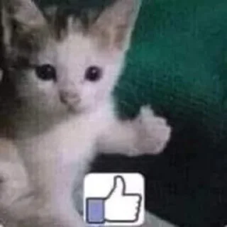 👍 emoji Кошарки от Мотьки Telegram sticker 12 of 32