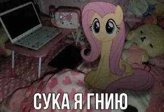🌟 emoji мемчики Telegram sticker 23 of 81