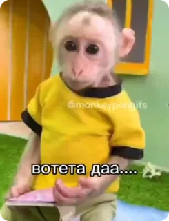 😯 emoji Стики торфа Telegram sticker 14 of 80