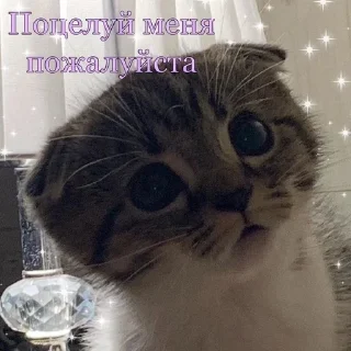 😘 emoji китис Telegram sticker 6 of 120