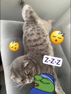 😴 emoji Кот по имени Кот Telegram sticker 10 of 16