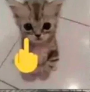 🖕 emoji шосі Telegram sticker 5 of 107