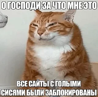 👩‍🦱 emoji The Orange Cat (RU) Telegram sticker 8 of 73