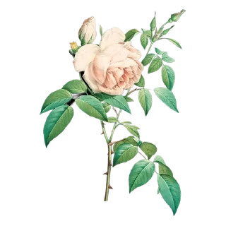 🌟 emoji Retro flowers Telegram sticker 9 of 11