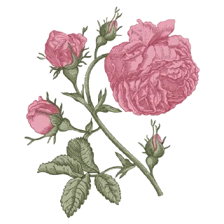 Sticker from Retro flowers