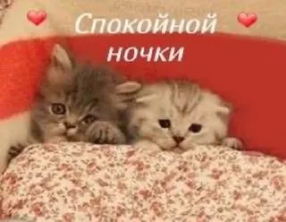 😴 emoji васян Telegram sticker 23 of 88