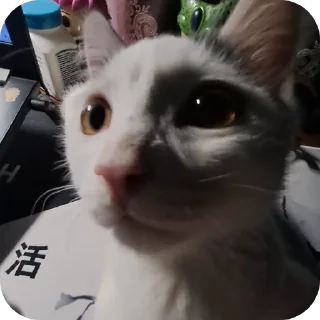 Sticker from miaow