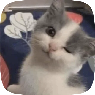 😉 emoji Aska_stickers Telegram sticker 16 of 120