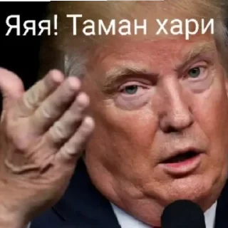 🙄 emoji Пакет с документами Telegram sticker 13 of 35