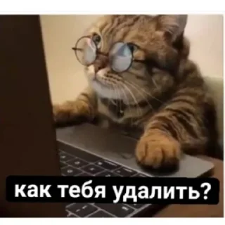 😑 emoji Пакет с документами Telegram sticker 11 of 35