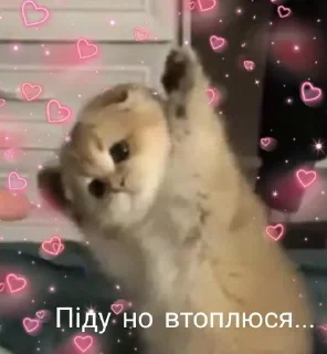 Sticker from накрило як треба