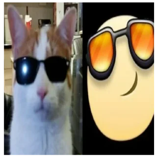 😎 emoji cute animals 💗 Telegram sticker 7 of 59