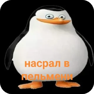 💩 emoji Жоске пингвиняты 8б Telegram sticker 10 of 38
