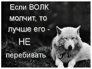 🌟 emoji Цитатки Telegram sticker 8 of 36