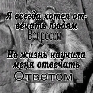 🌟 emoji Цитатки Telegram sticker 12 of 36