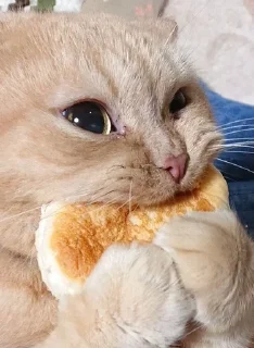 💋 emoji обнимашки Telegram sticker 17 of 84