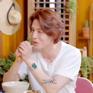 🪗 emoji Lee Dong Wook @L33D0ngW0ok Telegram sticker 13 of 18