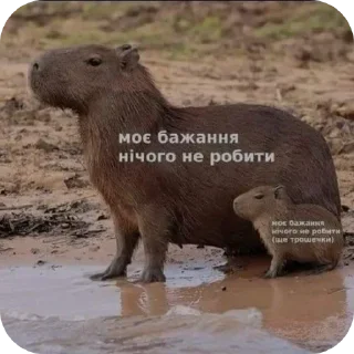 🥰 emoji живчики Telegram sticker 12 of 120