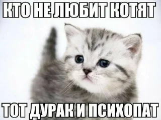 😶 emoji рпччбчюч Telegram sticker 3 of 42