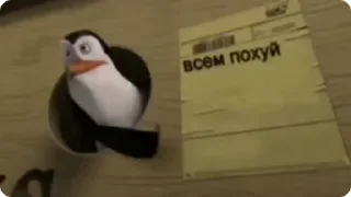 Sticker from пак похуйста