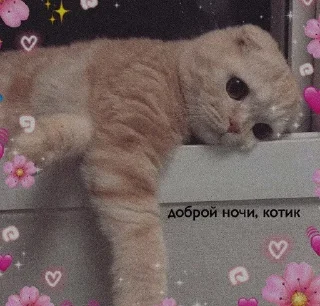 ✨ emoji хуйня Telegram sticker 12 of 115