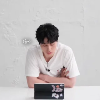 🪗 emoji Lee Dong Wook @L33D0ngW0ok Telegram sticker 8 of 18