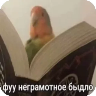 ⛔ emoji Розбійники Telegram sticker 17 of 22