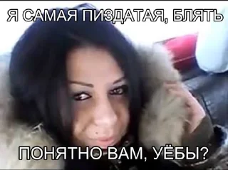 Polino4kas memes sticker 2