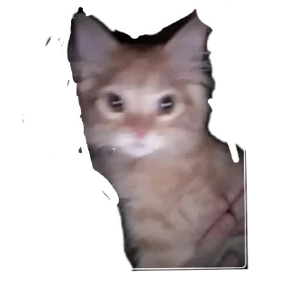 👍 emoji STICERBOOM Telegram sticker 11 of 18