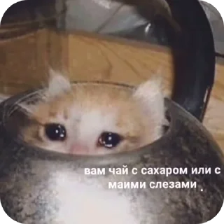 🥺 emoji ути-путин @StickersPackRobot Telegram sticker 13 of 21