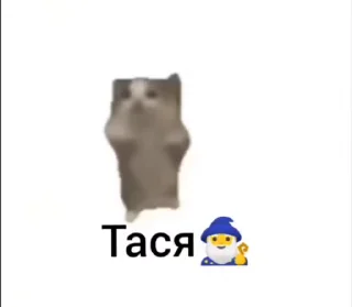 🌟 emoji Team PTS Telegram sticker 14 of 19