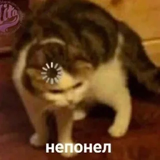 🗿 emoji Кошарки от Мотьки Telegram sticker 8 of 32