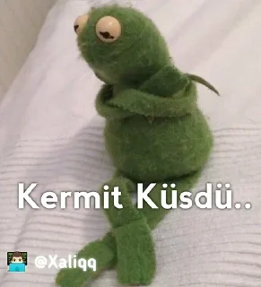 ✨ emoji Kermit Mood 💫 | 👨🏻‍💻 @Xaliqq Telegram sticker 5 of 30