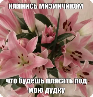 🌟 emoji пикчи с фразами Telegram sticker 22 of 26