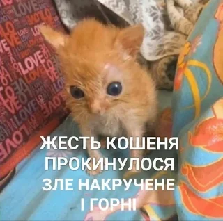😄 emoji Меми укртві Telegram sticker 22 of 120