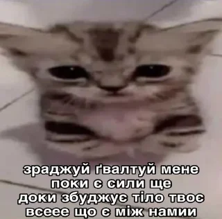 💋 emoji Меми укртві Telegram sticker 24 of 120
