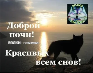 🌟 emoji Цитатки Telegram sticker 17 of 36
