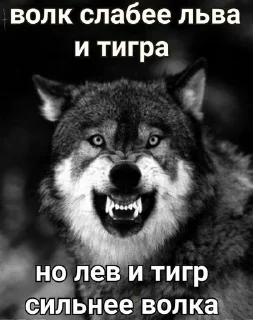 🌟 emoji Цитатки Telegram sticker 10 of 36