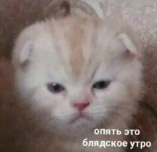 Sticker from Mood