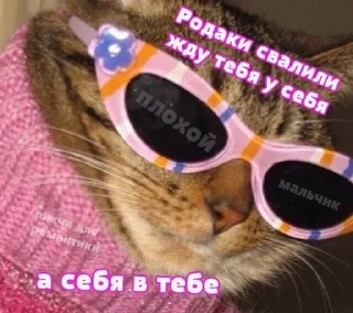 🌟 emoji ахбдща)) Telegram sticker 9 of 11