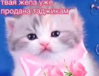 🌟 emoji вхаххаха Telegram sticker 18 of 120
