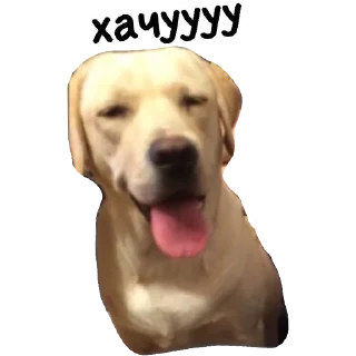 😍 emoji Actual Telegram sticker 17 of 54