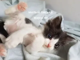 😏 emoji писька и братан Telegram sticker 14 of 36