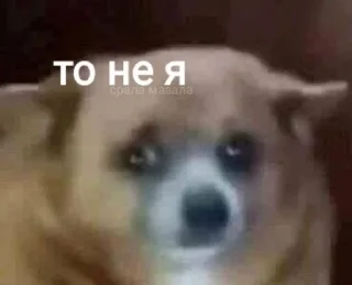 🌟 emoji ✨ українське ✨ Telegram sticker 16 of 16