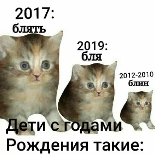 🌟 emoji Чпоня 2.0 Telegram sticker 15 of 83
