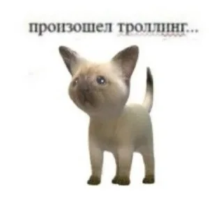 Sticker from пон