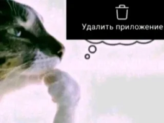 🌟 emoji тикитоки Telegram sticker 14 of 92