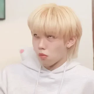 🐥 emoji ✧ .˙ felix 🐥 @rissgaridi Telegram sticker 4 of 32